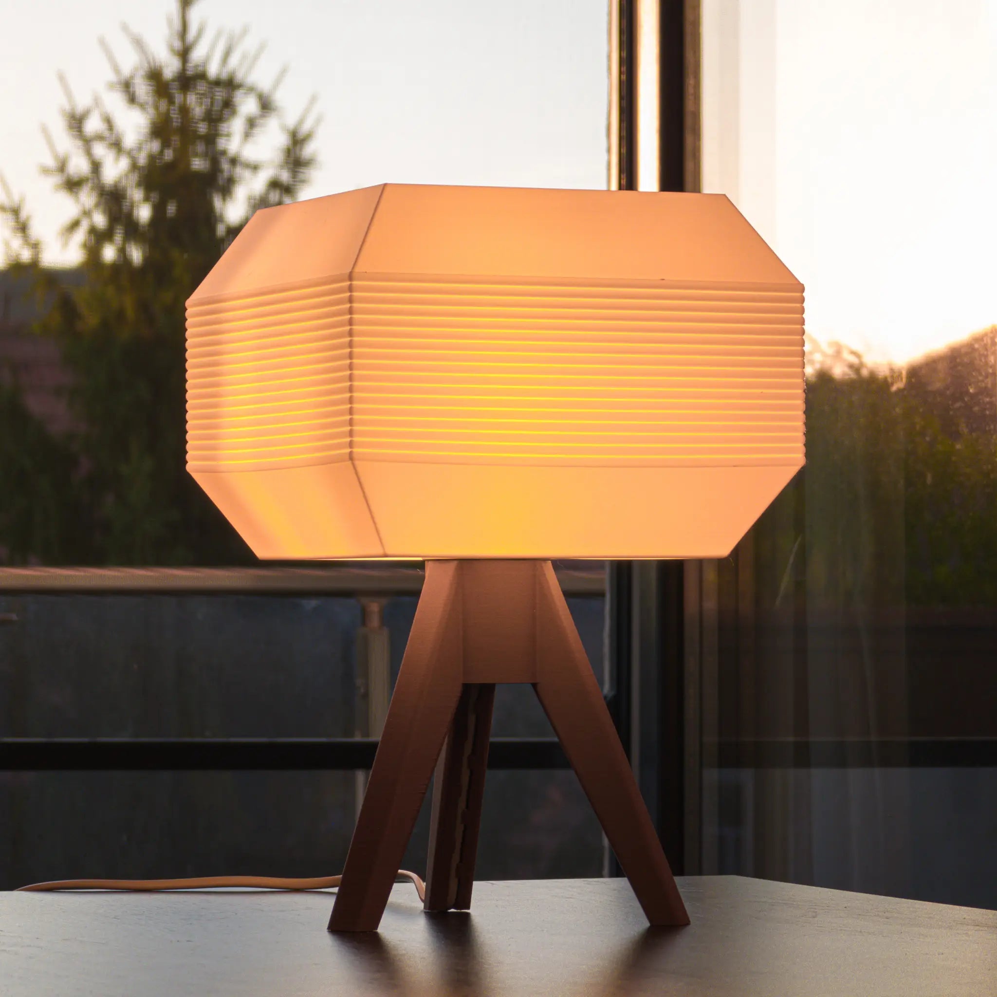 Arcas Walnut