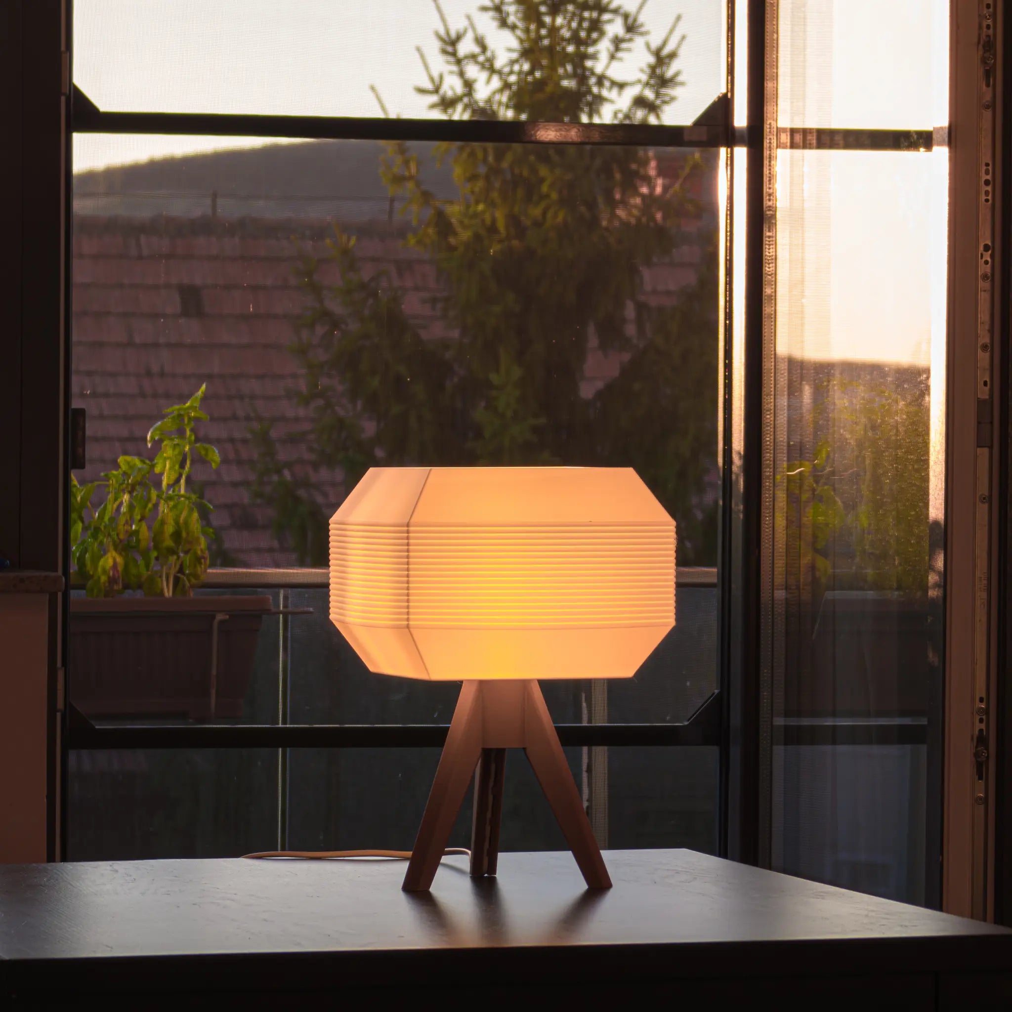 Arcas Walnut